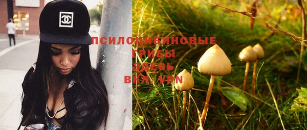 молекула духа Алзамай