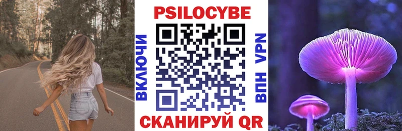 купить наркотик  кракен ТОР  Псилоцибиновые грибы Magic Shrooms  Павлово 