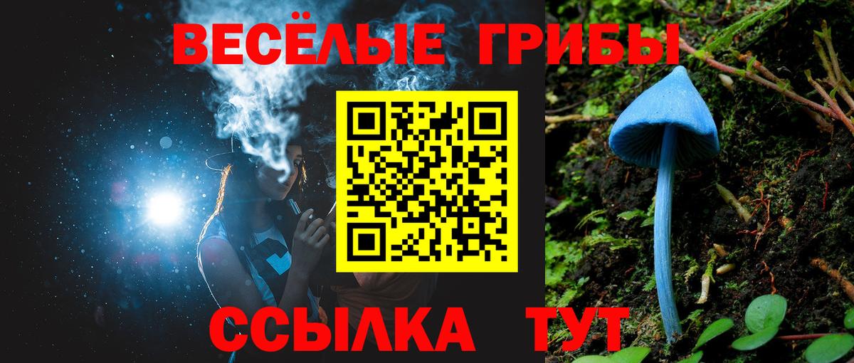 Галлюциногенные грибы мицелий Павлово
